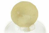 Botryoidal Yellow Fluorite on Quartz - India #342392-1